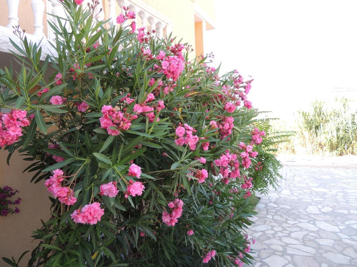 Apartman Husic Pag Town Dış mekan fotoğraf